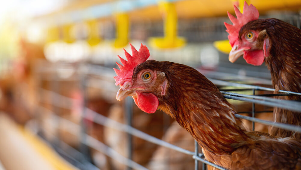 Sustainable practices Beikart